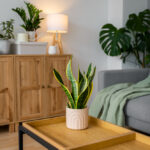 Décoration écoresponsable matériaux durables