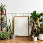 Décorer avec des plantes intérieures