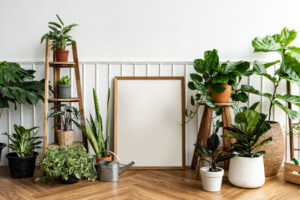 Décorer avec des plantes intérieures